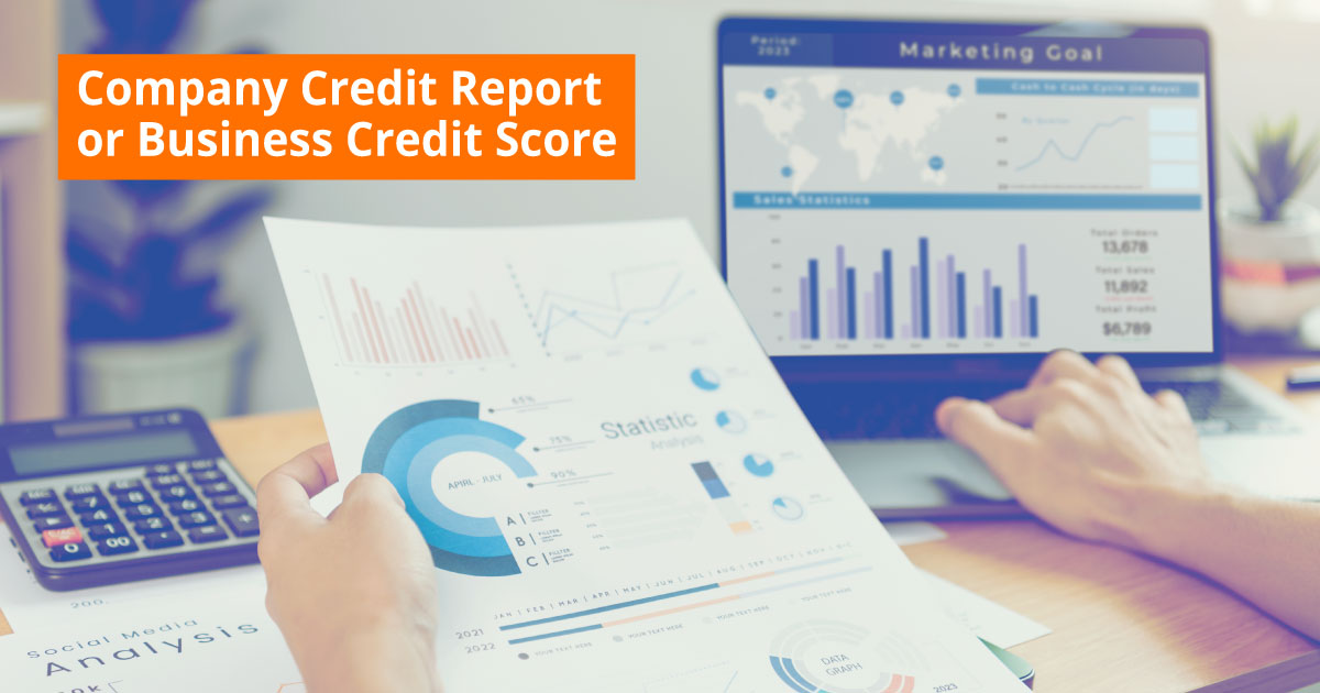 Company Credit Report